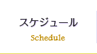 スケジュール